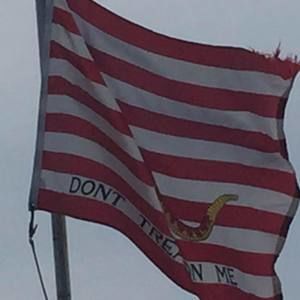 Meet your Posher, Fred